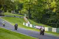 cadwell-no-limits-trackday;cadwell-park;cadwell-park-photographs;cadwell-trackday-photographs;enduro-digital-images;event-digital-images;eventdigitalimages;no-limits-trackdays;peter-wileman-photography;racing-digital-images;trackday-digital-images;trackday-photos